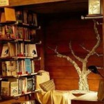 A Drifter Finding A Home Among Books